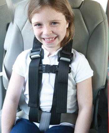 43-YC Universal Restraint Includes Crotch Strap - Main Image